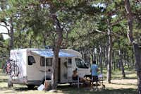 Camping Planik  - Camper am Wohnwagen auf dem Campingplatz zwischen Bäumen