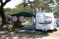Camping Planik - zeltwiese und wohnwagen