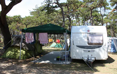 Camping Planik