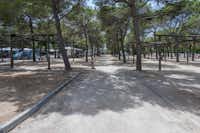 Camping Platja Vilanova  -  Stellplatz vom Campingplatz zwischen Bäumen