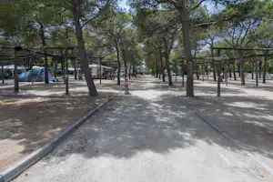 Camping Platja Vilanova - Stellplatz vom Campingplatz zwischen Bäumen