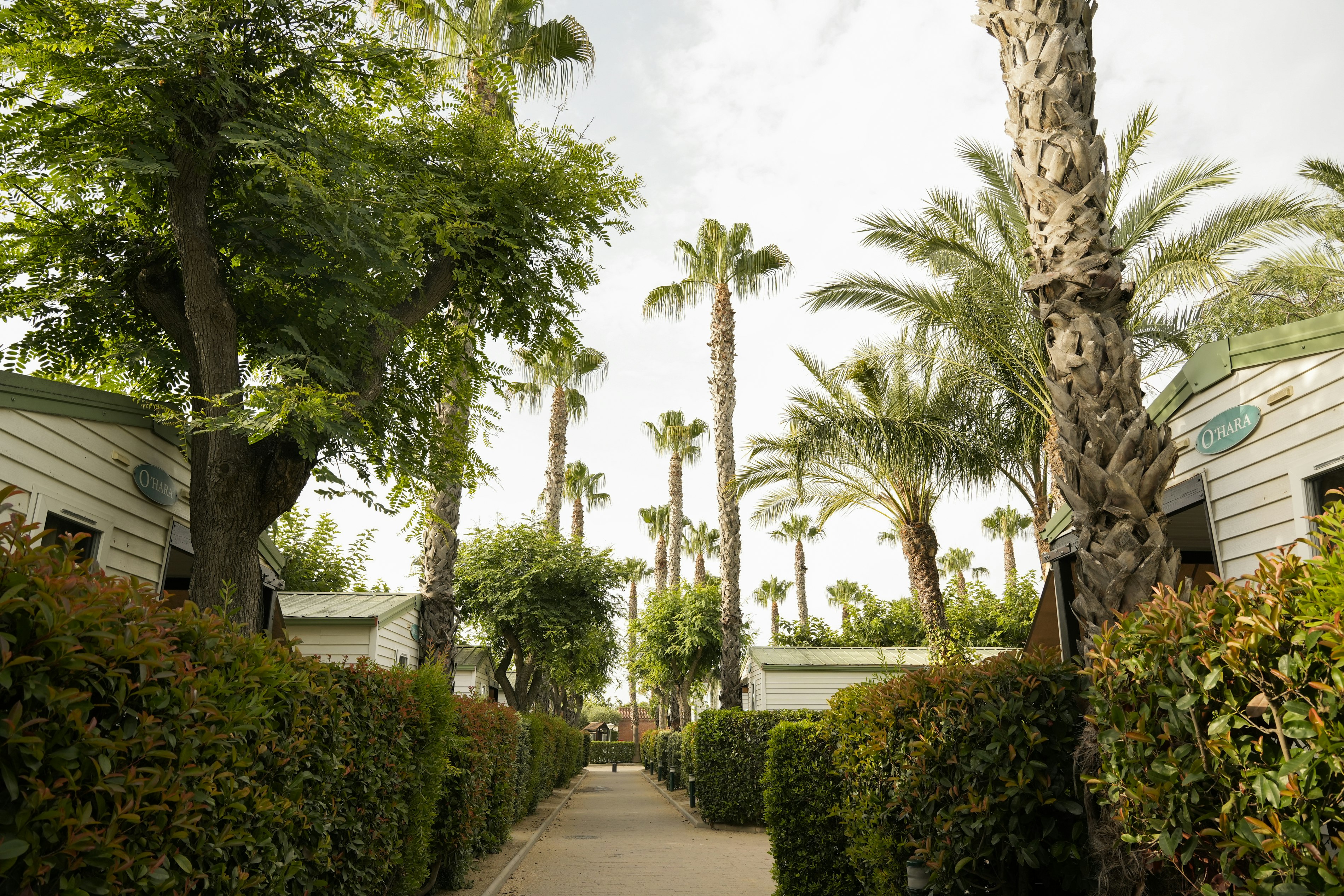 Camping Platja Cambrils