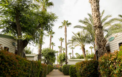 Camping Platja Cambrils
