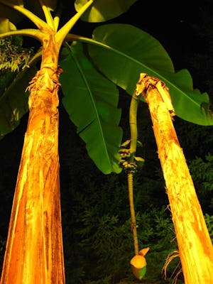 Camping Playa de Vega