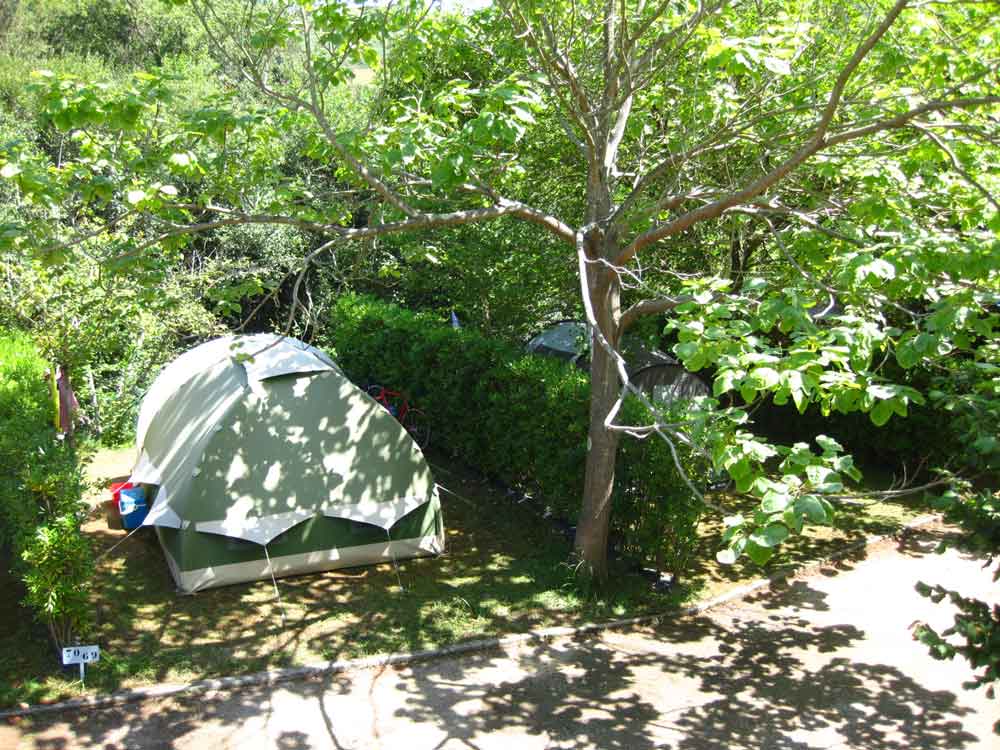 Camping Playa de Vega