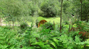 Camping Playa de Vega