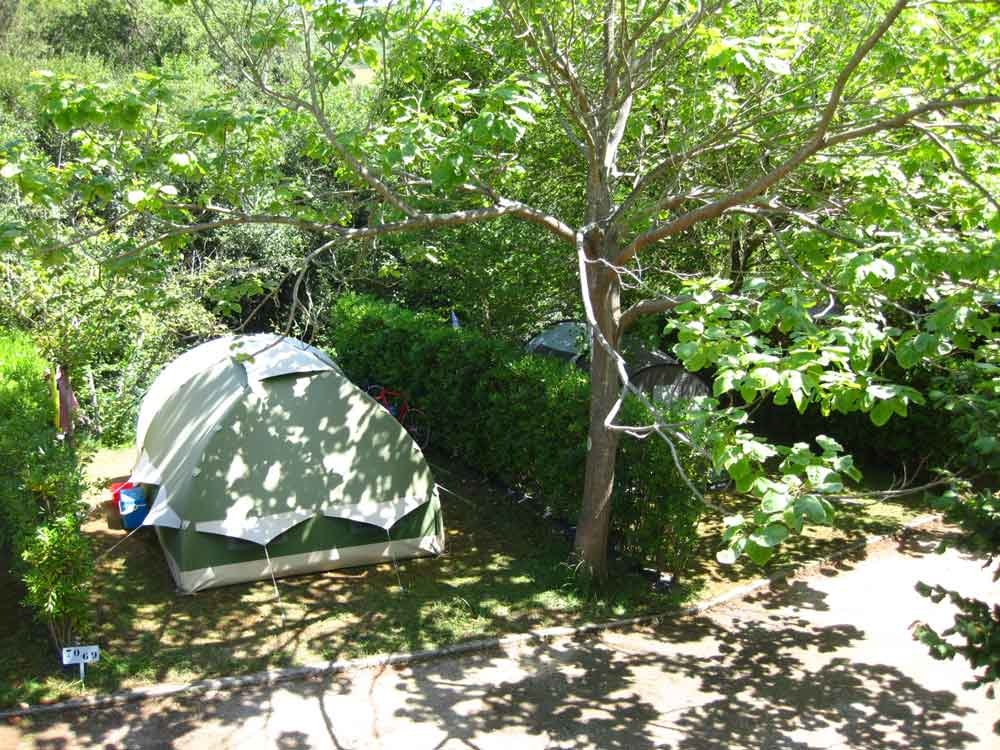 Camping Playa de Vega