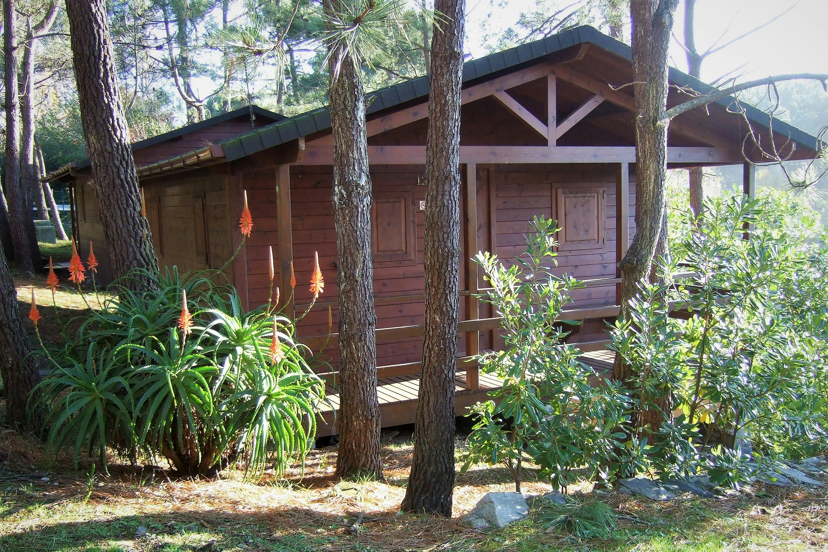 Camping Playa de Taurán