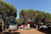Camping Playa deTaurán - Zelte und Campingbullis unter Bäumen