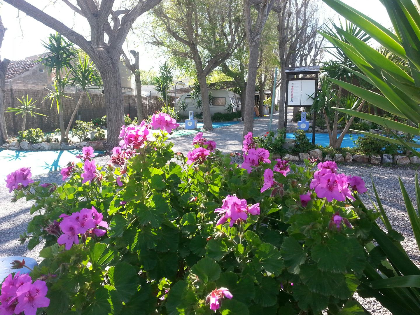 Camping Playa Granada