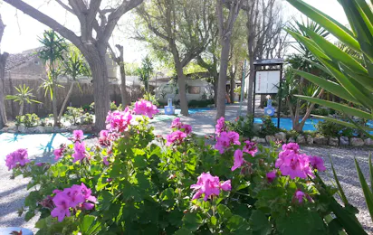 Camping Playa Granada
