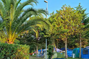 Camping Playa Joyel - Stellplätze auf dem Campingplatz