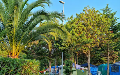 Camping Playa Joyel