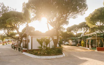 Camping Playa La Bota