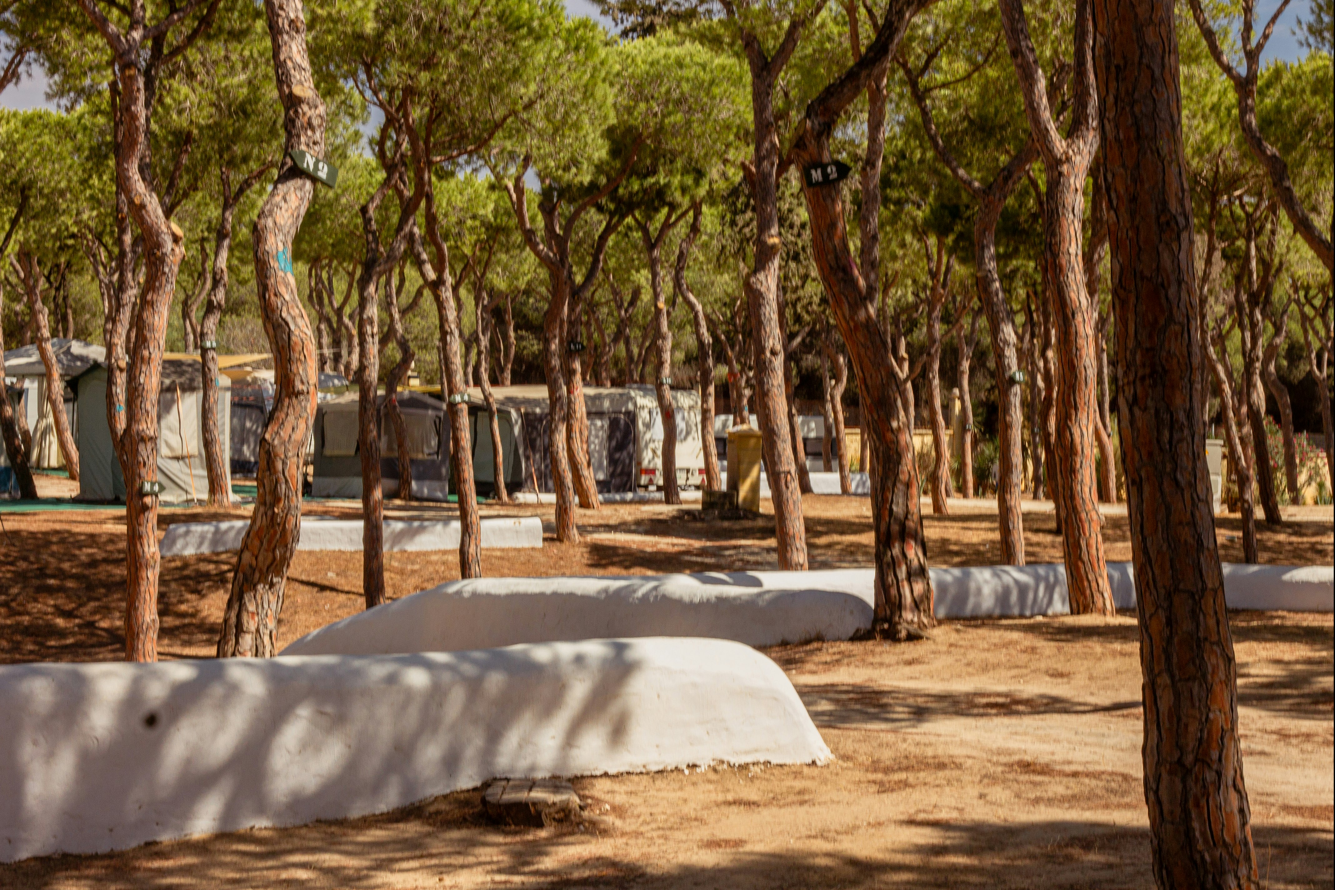 Camping Playa Las Dunas - Standplätze auf dem Campingplatz