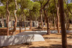 Camping Playa Las Dunas - Standplätze auf dem Campingplatz
