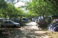 Camping Playa Paisaxe - Wohnmobil- und  Wohnwagenstellplätze im Schatten der Bäume
