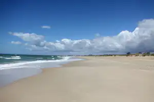 Weite Sandstrand mit Wellen am Meer, Dünen und vereinzelten Büschen unter bewölktem Himmel.