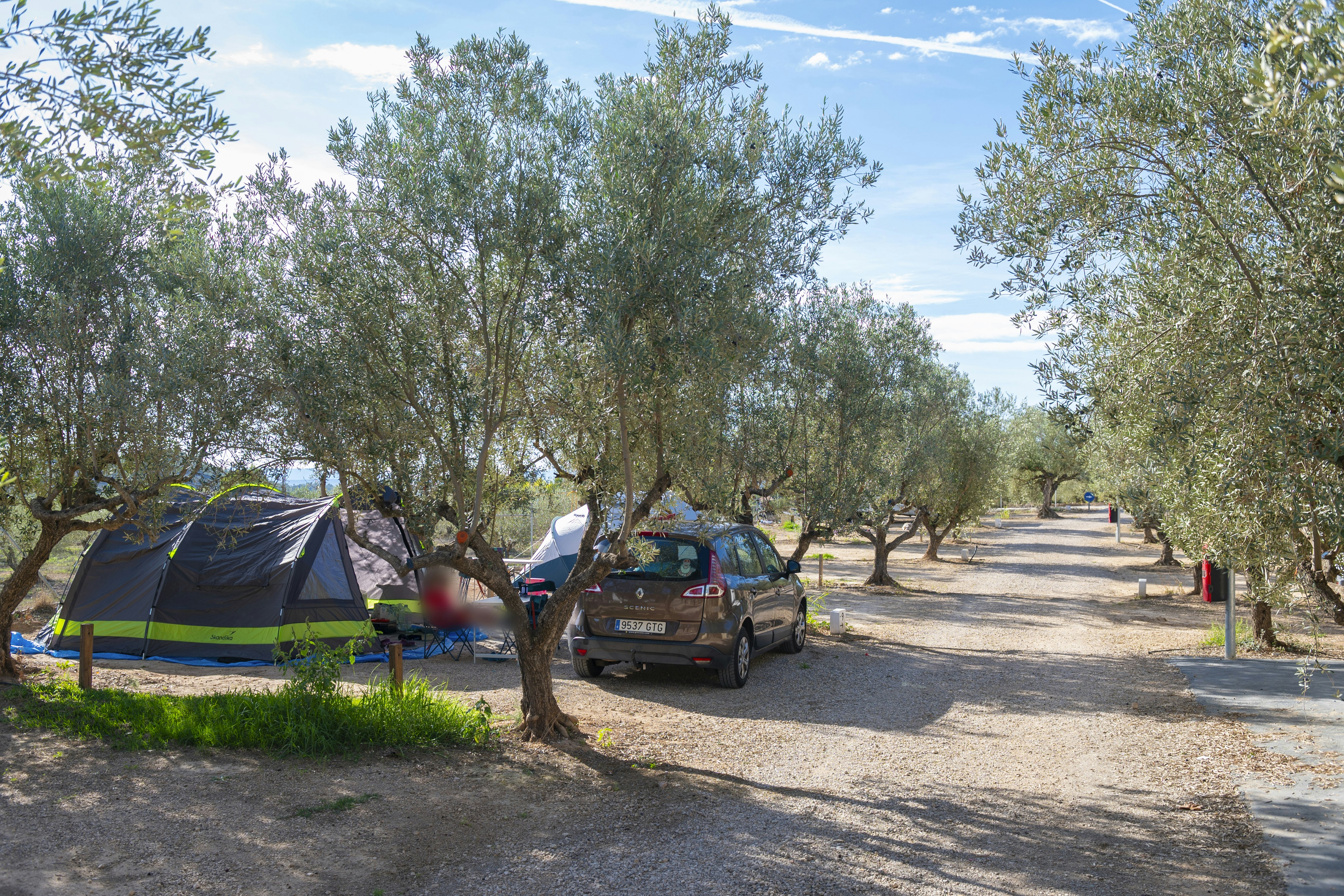 Camping Playamonte - Standplätze auf dem Campingplatz