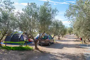 Camping Playamonte - Standplätze auf dem Campingplatz