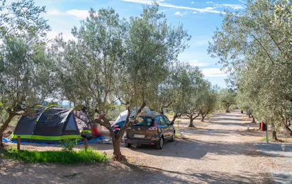 Camping Playamonte