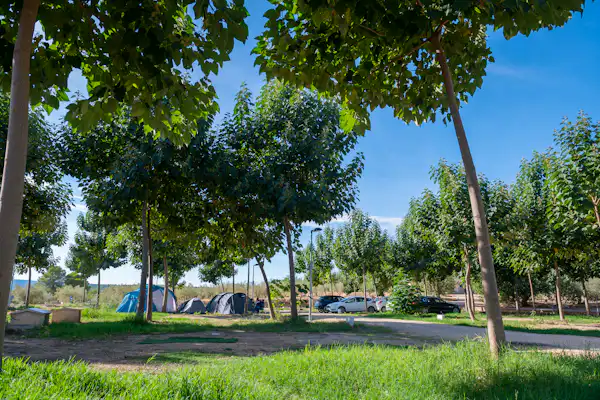 Camping Playamonte