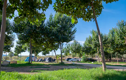 Camping Playamonte