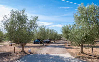 Camping Playamonte