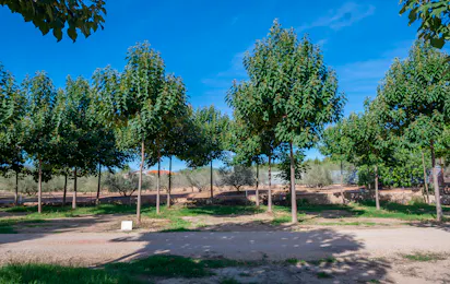 Camping Playamonte