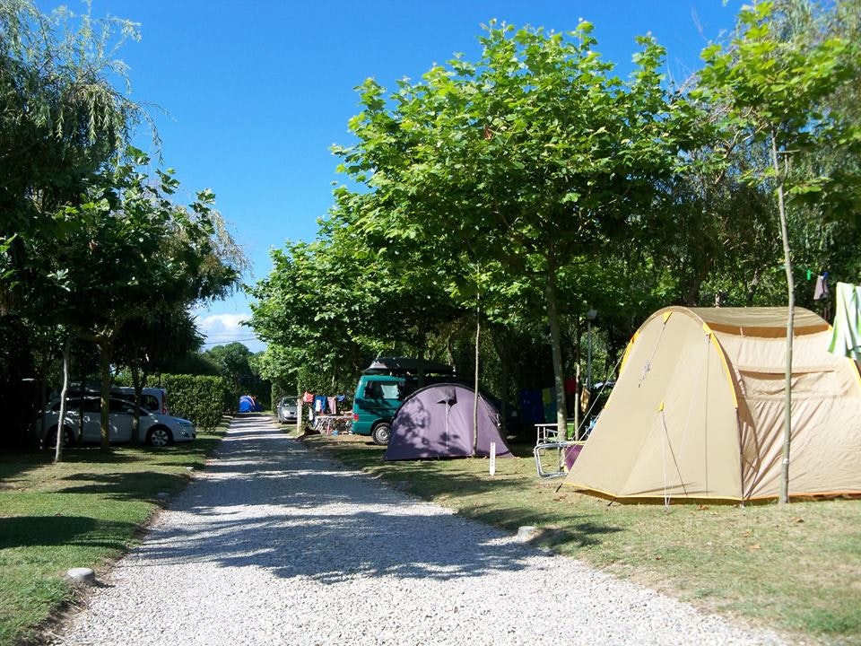 A Gaivota Camping