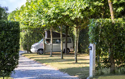 A Gaivota Camping