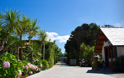 A Gaivota Camping