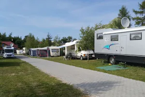 Camping Pod Brzozami - Unter den Birken - Stellplatz vom Campingplatz auf grüner Wiese