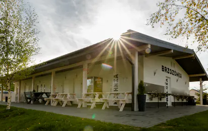 Camping Pod Brzozami - Unter den Birken