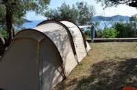 Camping Pod Maslinom - Campingbereich für Zelte im Schatten der Bäume mit Blick auf das Meer