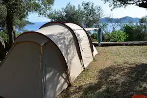 Camping Pod Maslinom - Campingbereich für Zelte im Schatten der Bäume mit Blick auf das Meer