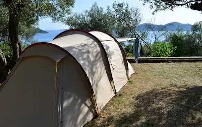 Camping Pod Maslinom