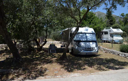 Camping Pod Maslinom