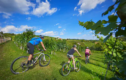 Camping Bela krajina