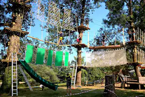 Seilparcours im Grünen: Netz und Holzplattformen zwischen Bäumen, mit Kletterseilen und Sicherheitsgeländern.