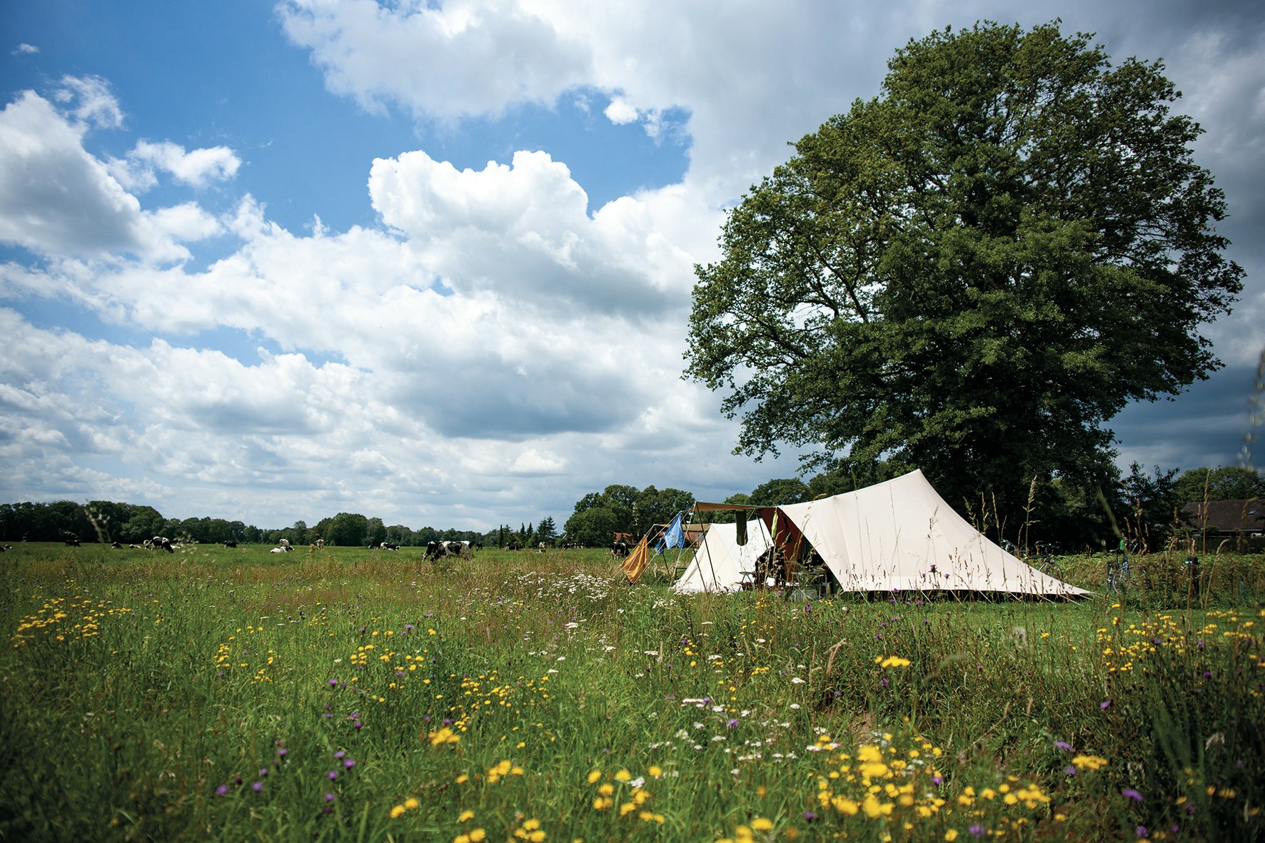 Camping Poelhuis