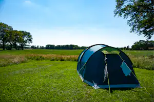 Camping Poelhuis - Standplatz auf der Wiese auf dem Campingplatz