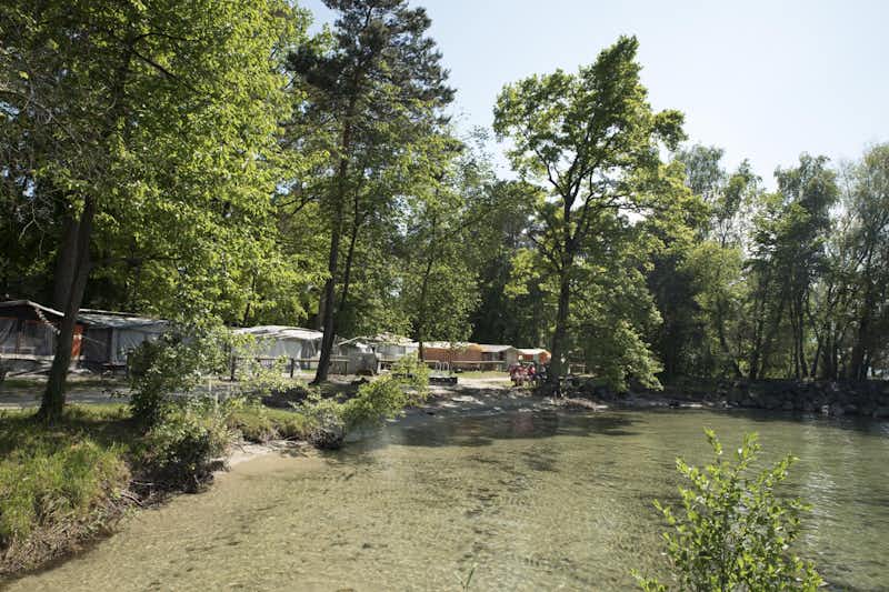 Camping Pointe d'Yvonand (VD8) - Stellplätze unter Bäumen am See des Campingplatzes