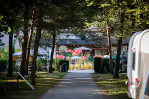 Camping VD8 Camping Pointe d'Yvonand (VD8) - Restaurant mit Terrasse auf dem Campingplatz