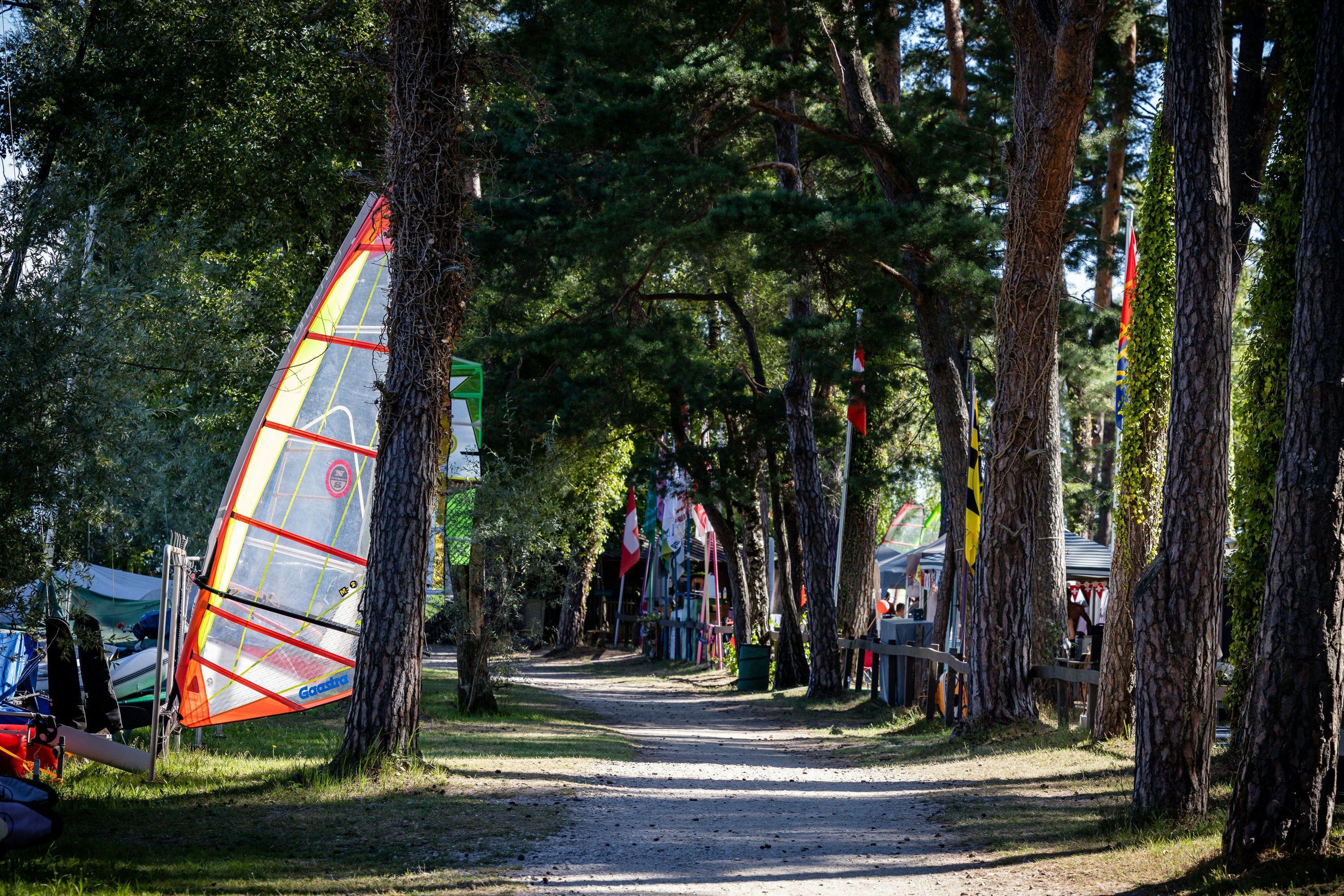 Camping VD8  Camping Pointe d'Yvonand (VD8) - Standplätze zwischen den Bäumen auf dem Campingplatz