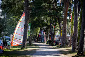 Camping VD8 Camping Pointe d'Yvonand (VD8) - Standplätze zwischen den Bäumen auf dem Campingplatz
