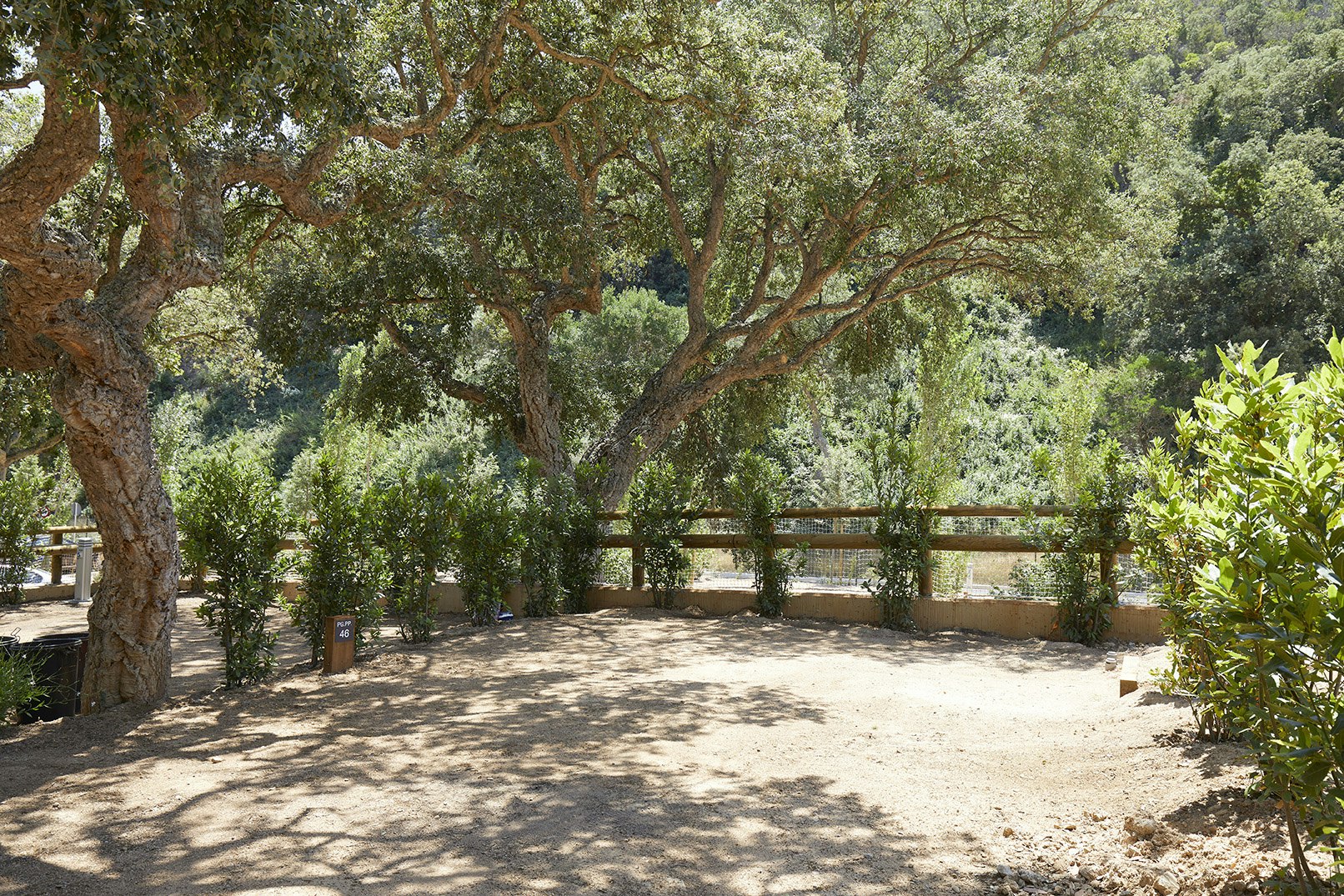 Camping Pola Giverola - Stellplätze im Halbschatten
