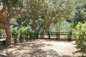 Camping Pola Giverola - Stellplätze im Halbschatten
