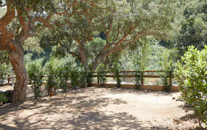 Camping Cala Pola