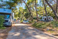 Camping Poljana - Wohnmobil- und  Wohnwagenstellplätze im Schatten der Bäume